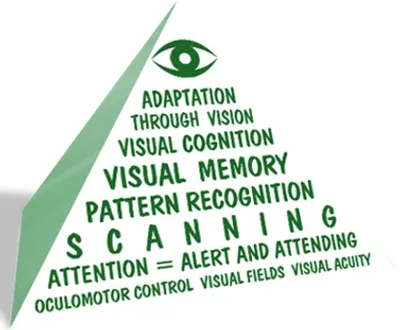 Vision Therapy visual skills and eye tracking exercise